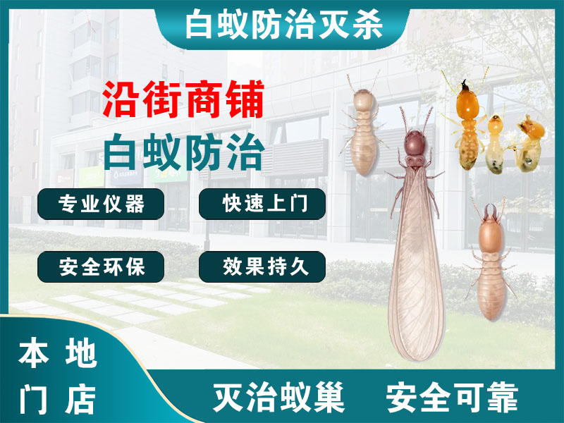 象山沿街商铺白蚁防治