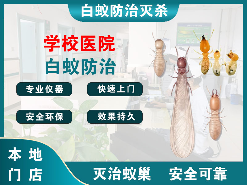 象山学校医院白蚁防治