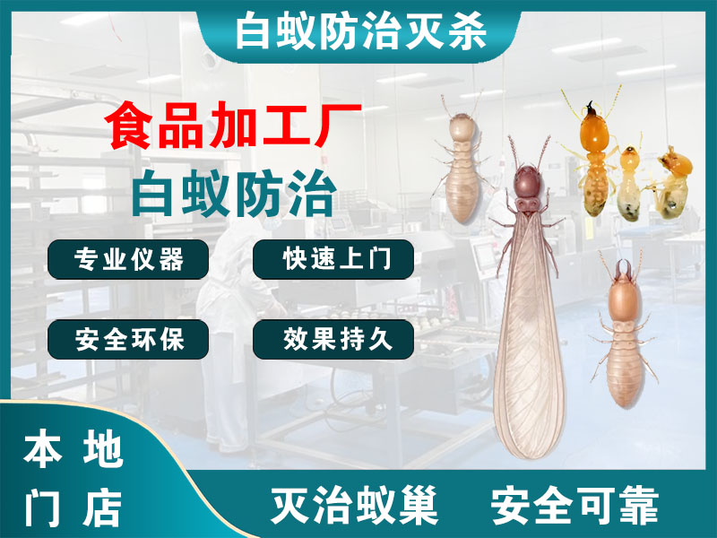 象山食品加工厂白蚁防治