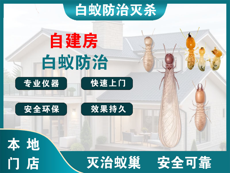 象山自建房白蚁防治