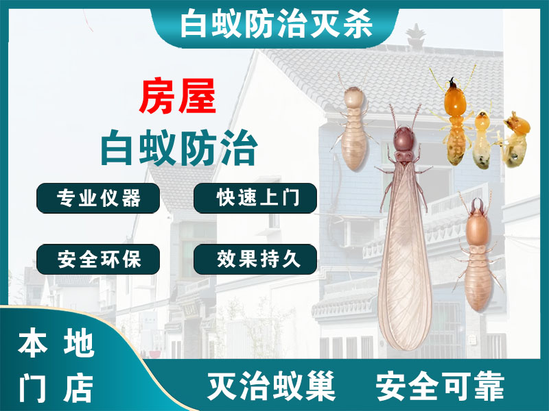 象山房屋白蚁防治